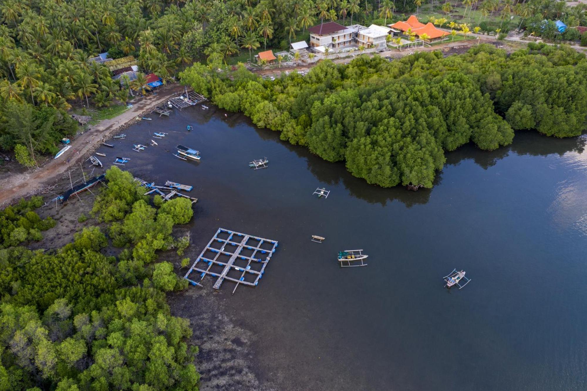 Mangroove Bay Boutique Hostel Banyuwedang Buitenkant foto